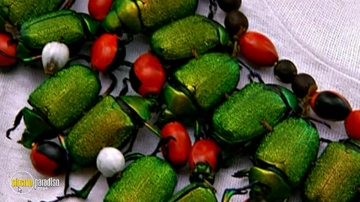 A still #4 from Insectia (2001)