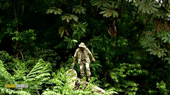 A still #5 from Insectia (2001)