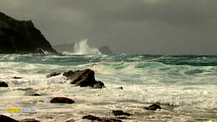 A still #2 from Waves: The Movie (2003)