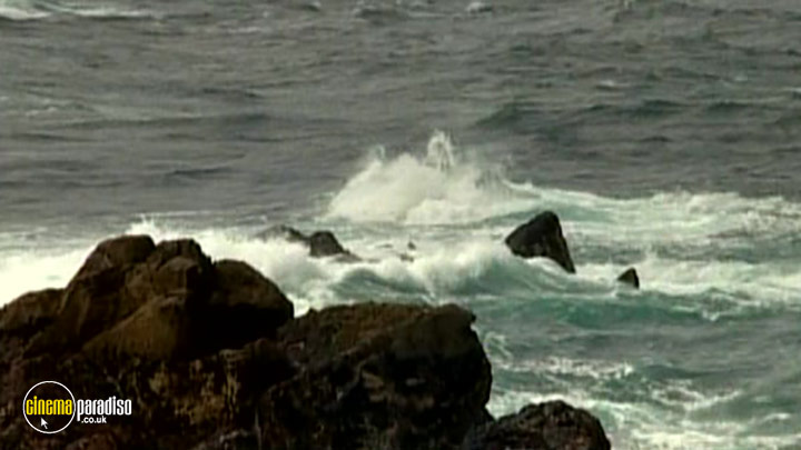 A still #3 from Waves: The Movie (2003)