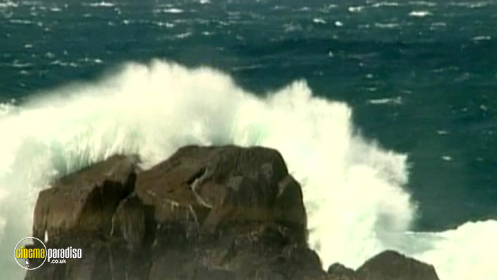 A still #4 from Waves: The Movie (2003)