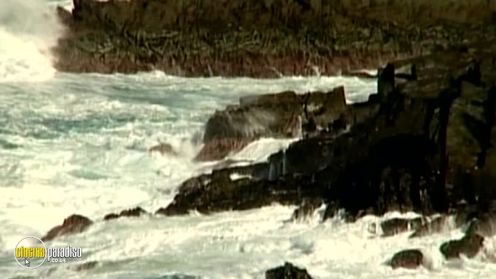A still #5 from Waves: The Movie (2003)