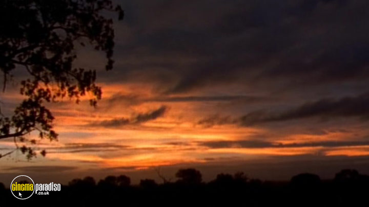 A still #10 from National Geographic: Stalking Leopards (2002)