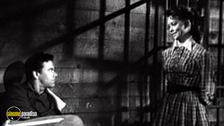 A still #5 from The Bushwhackers (1951)