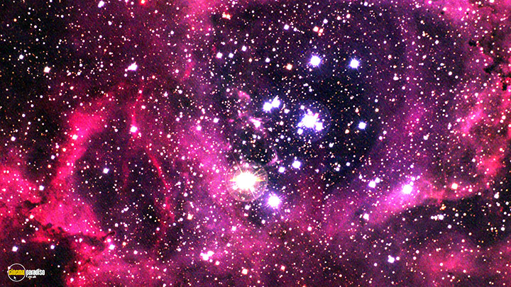 A still #13 from StarGaze HD: Universal Beauty (2008)