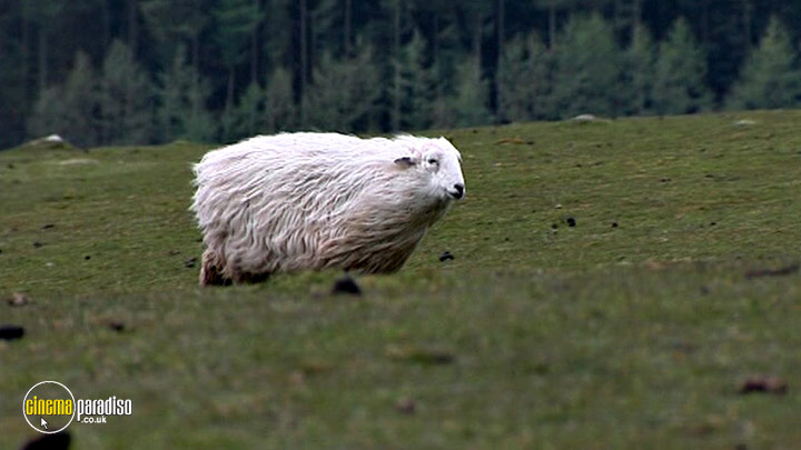 A still #3 from What to Eat Now: Autumn (2008)