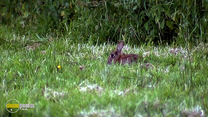 A still #5 from What to Eat Now: Autumn (2008)