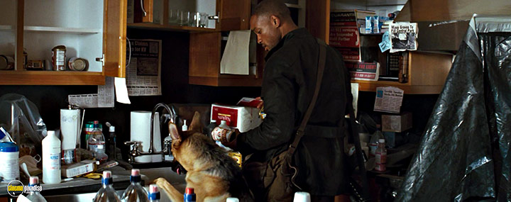 A still #3 from I Am Legend (2007) With Will Smith