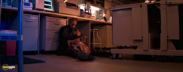 A still #7 from I Am Legend (2007) With Will Smith