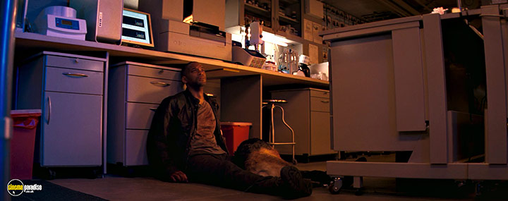 A still #18 from I Am Legend (2007) With Will Smith