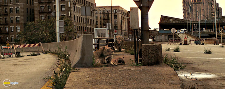 A still #20 from I Am Legend (2007)