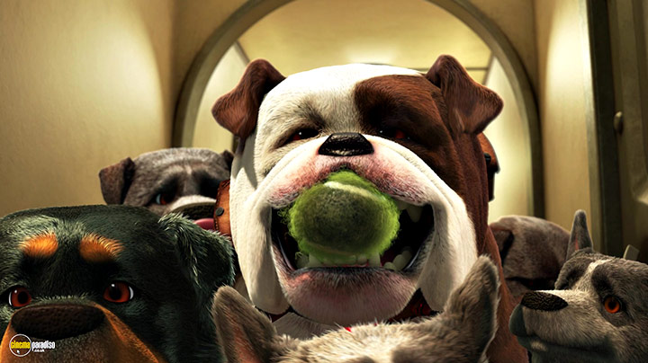A still #3 from Up (2009)