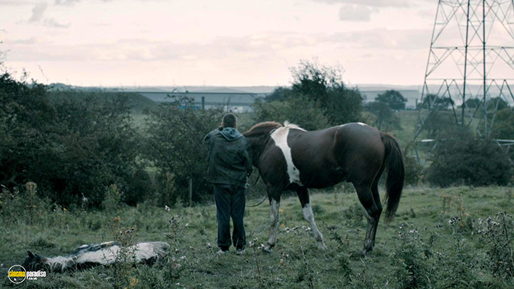 A still #4 from The Selfish Giant (2013)