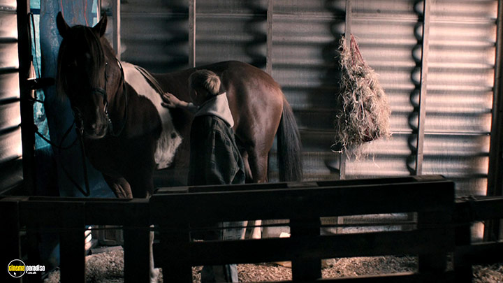 A still #2 from The Selfish Giant (2013)