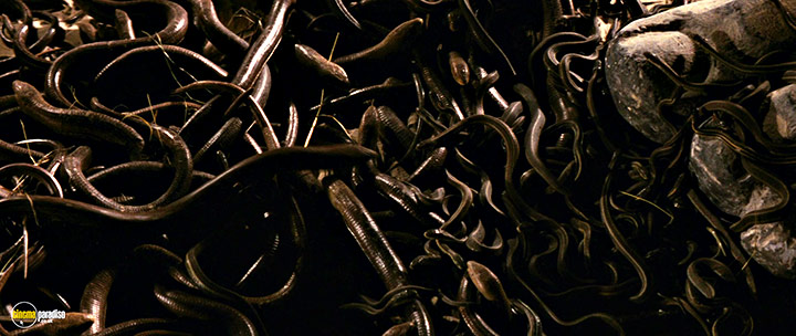 A still #14 from Indiana Jones and the Raiders of the Lost Ark (1981)
