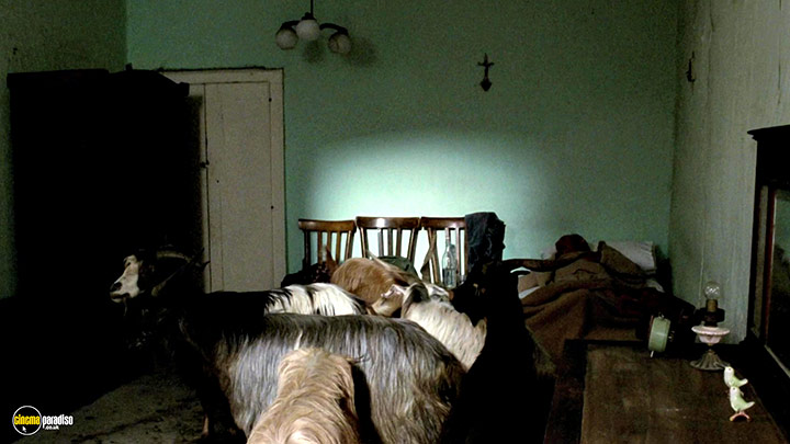 A still #12 from The Four Times (2010)