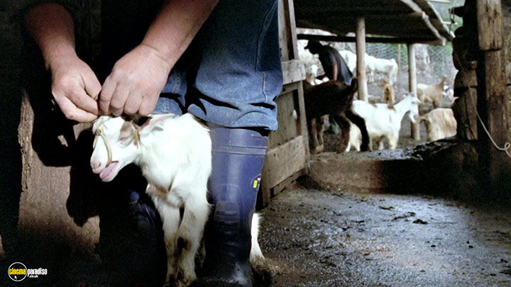 A still #14 from The Four Times (2010)