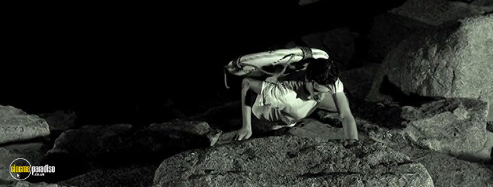 A still #20 from Tusk (2014)