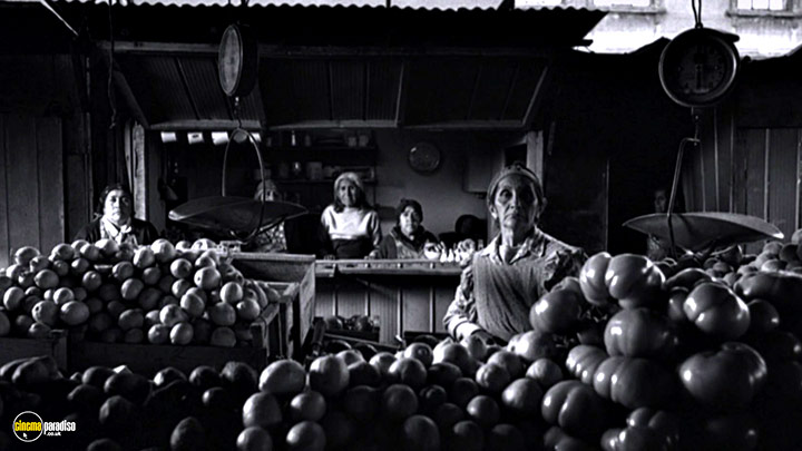 A still #2 from The Motorcycle Diaries (2004)