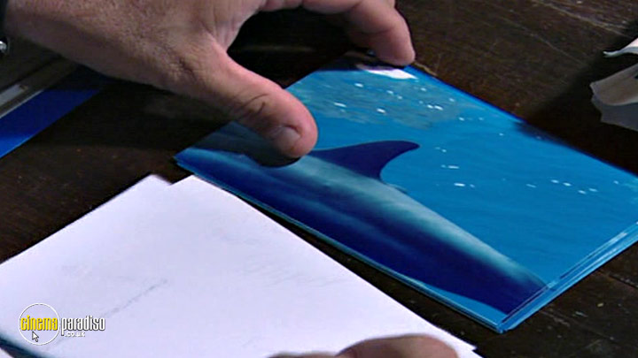A still #5 from Animal Nation: Spinner Dolphins (2007)