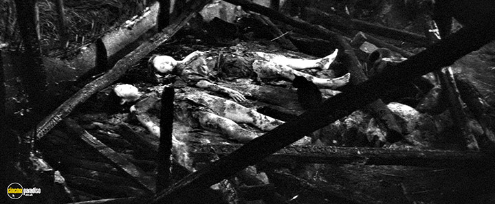 A still #19 from Kuroneko (1968)