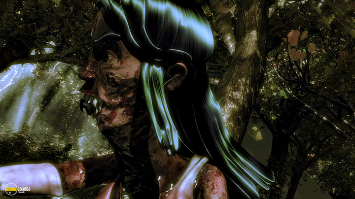 A still #17 from The Amazing Adventures of the Living Corpse (2012)