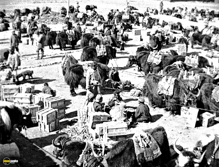 A still #9 from The Epic of Everest (1924)