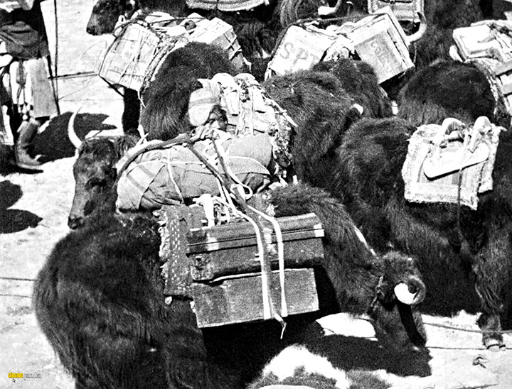 A still #10 from The Epic of Everest (1924)