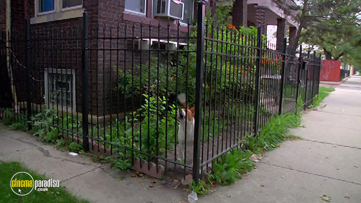 A still #17 from The Homestretch (2014)