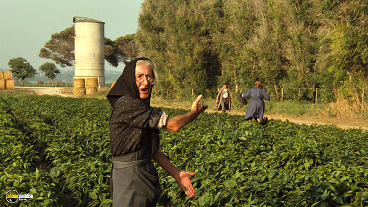 A still #1 from City of Women (1980)