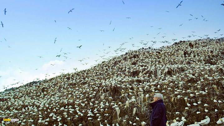 A still #21 from Flying Monsters (2011)