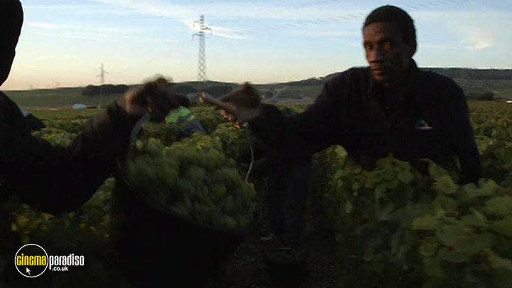 A still #2 from A Year in Champagne (2014)