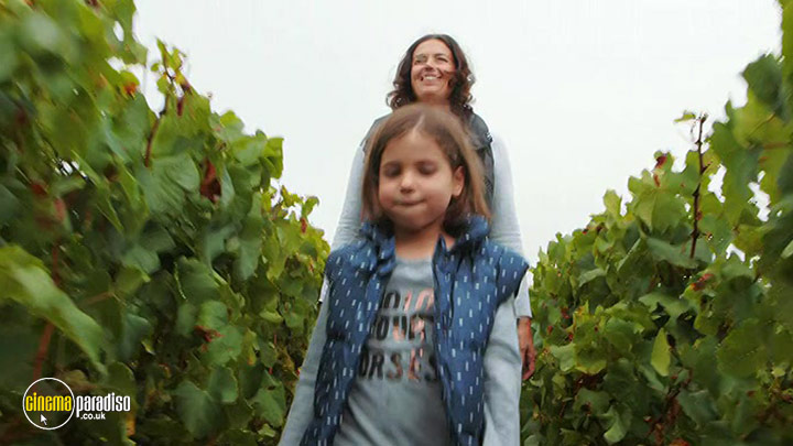 A still #3 from A Year in Champagne (2014)