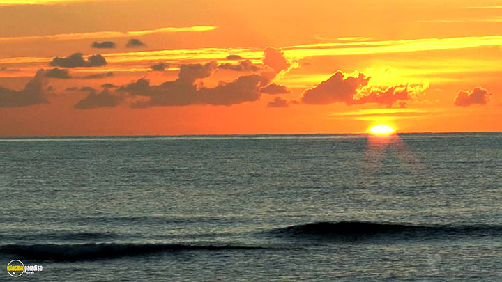 A still #20 from Four Seasons: Sunlit Summer (2010)