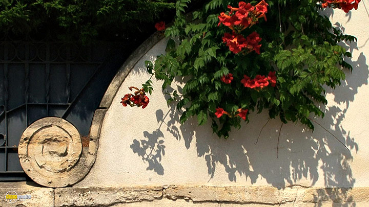 A still #10 from Four Seasons: Sunlit Summer (2010)