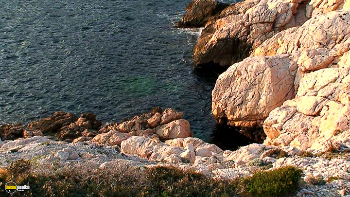 A still #6 from Four Seasons: Sunlit Summer (2010)