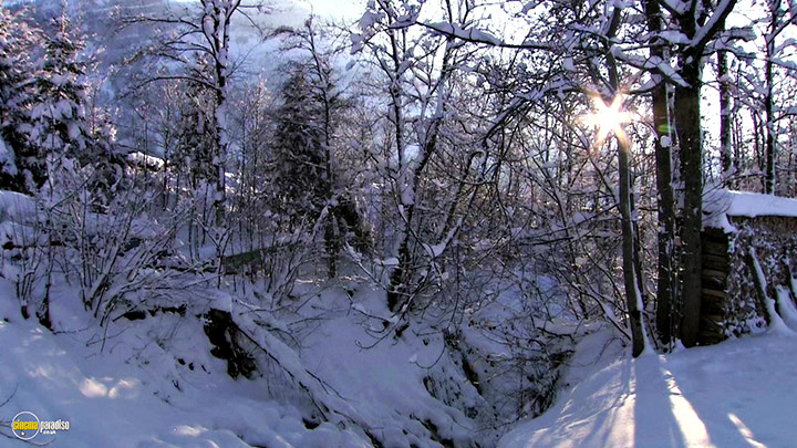 A still #13 from Four Seasons: Sparkling Snow (2010)