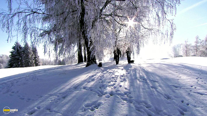 A still #7 from Four Seasons: Sparkling Snow (2010)