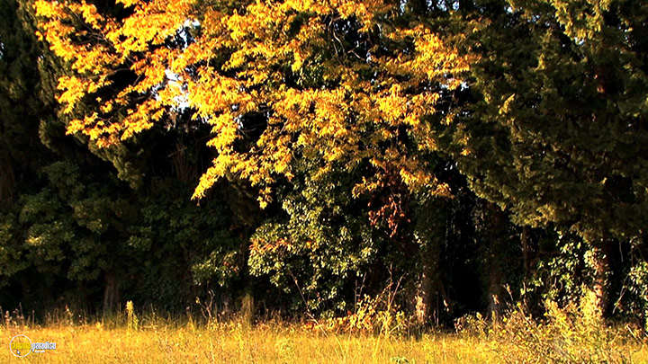 A still #1 from Four Seasons: Adorable Autumn (2010)