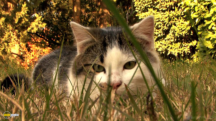 A still #14 from Four Seasons: Adorable Autumn (2010)