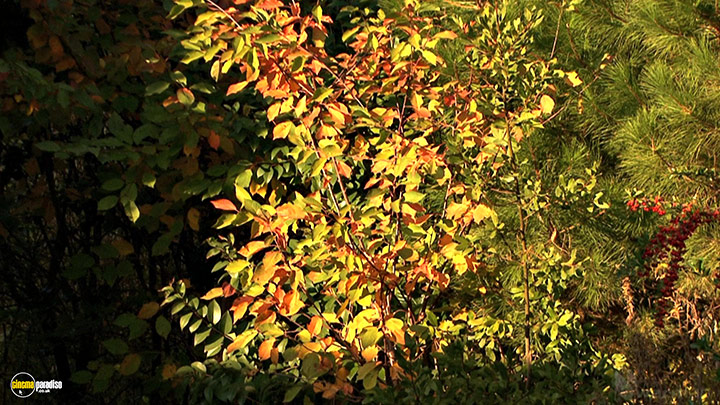 A still #10 from Four Seasons: Adorable Autumn (2010)