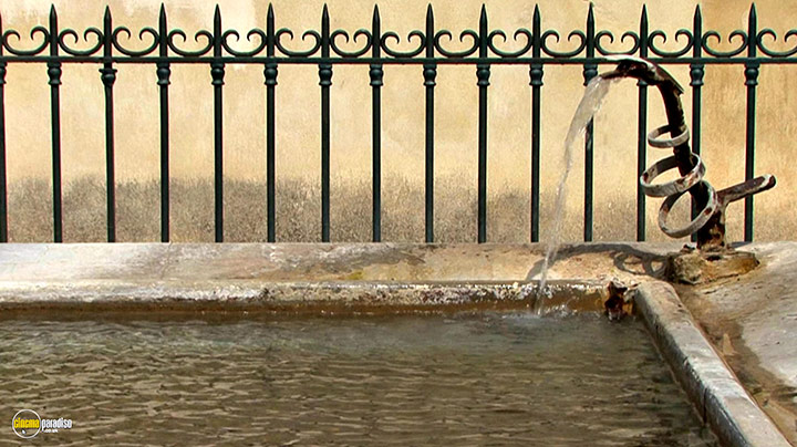 A still #2 from Splendid Spring (2010)