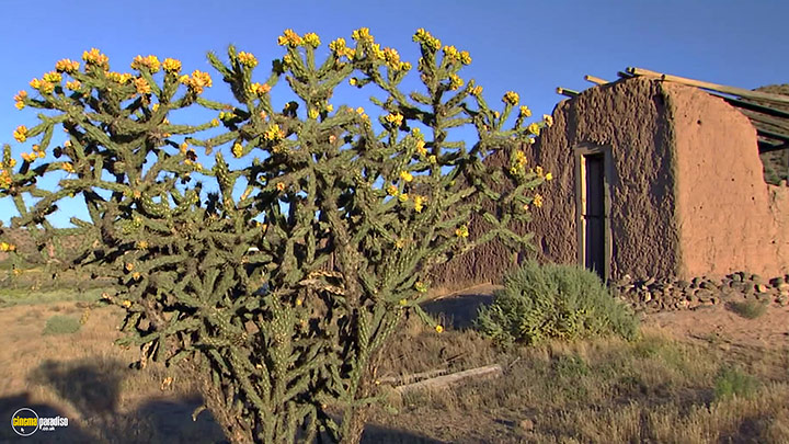A still #8 from HD Window: The Great Southwest (2005)