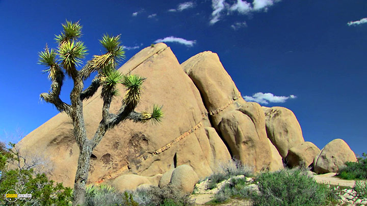 A still #11 from HD Window: The Great Southwest (2005)