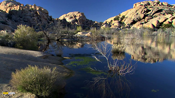 A still #12 from HD Window: The Great Southwest (2005)