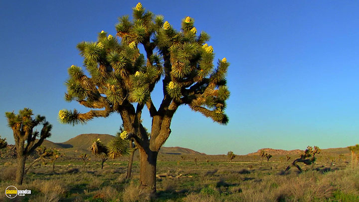 A still #13 from HD Window: The Great Southwest (2005)