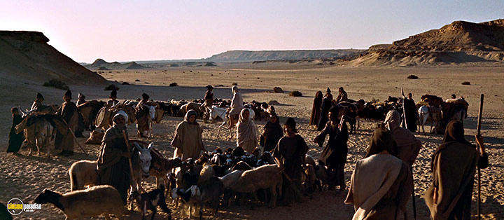 A still #10 from The Bible: In the Beginning (1966)