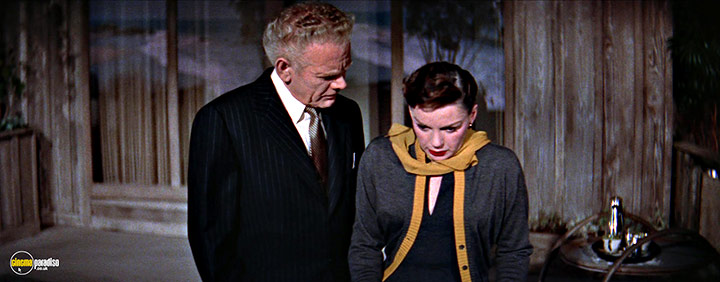 A still #19 from A Star is Born (1954)