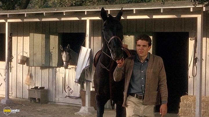 A still #4 from Marnie (1964)