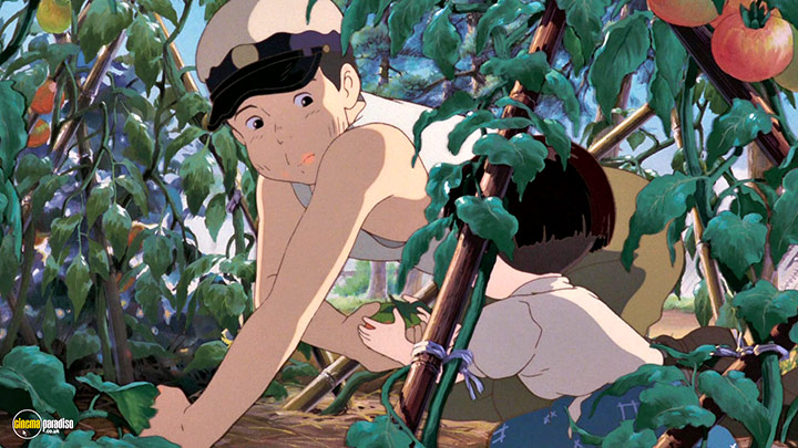 A still #5 from Grave of the Fireflies (1988)